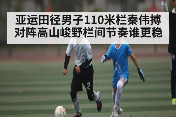 亚运田径男子110米栏秦伟搏对阵高山峻野栏间节奏谁更稳 - kaiyun