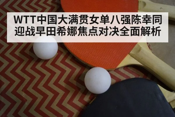 ping pong paddle ball | kaiyun
